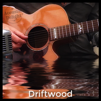 Driftwood - Music NFT